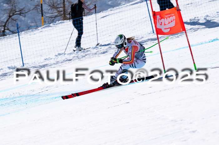 IDM Abfahrt, NC + NJC, Damen und NC + FIS Herren 03.04.2025