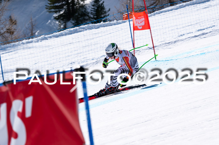 IDM Abfahrt, NC + NJC, Damen und NC + FIS Herren 03.04.2025