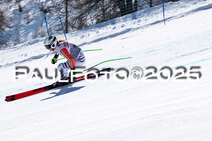 IDM Abfahrt, NC + NJC, Damen und NC + FIS Herren 03.04.2025
