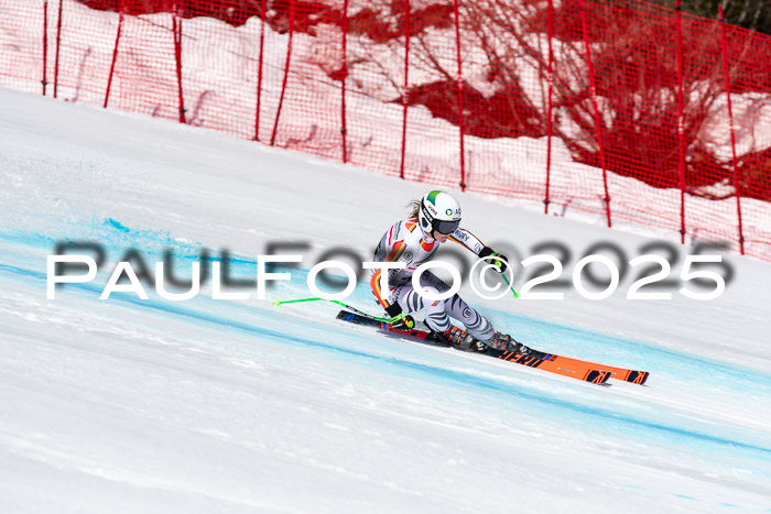 IDM Abfahrt, NC + NJC, Damen und NC + FIS Herren 03.04.2025