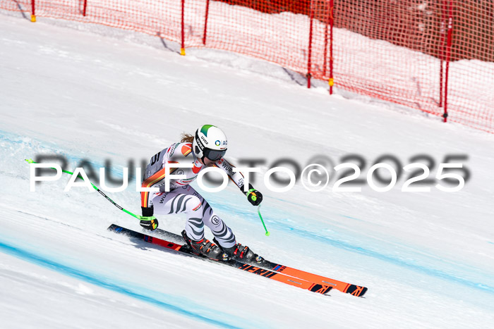 IDM Abfahrt, NC + NJC, Damen und NC + FIS Herren 03.04.2025