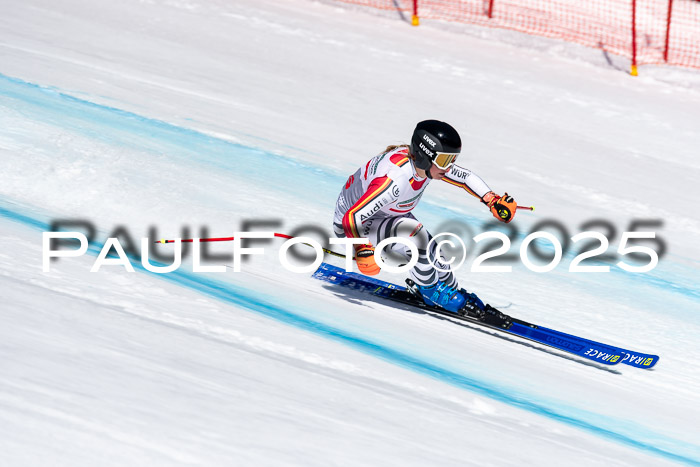 IDM Abfahrt, NC + NJC, Damen und NC + FIS Herren 03.04.2025