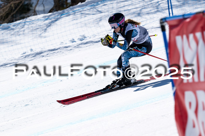 IDM Abfahrt, NC + NJC, Damen und NC + FIS Herren 03.04.2025