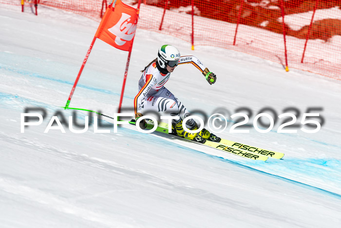 IDM Abfahrt, NC + NJC, Damen und NC + FIS Herren 03.04.2025