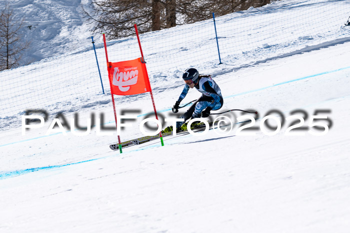 IDM Abfahrt, NC + NJC, Damen und NC + FIS Herren 03.04.2025