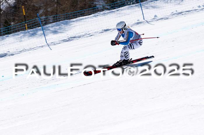 IDM Abfahrt, NC + NJC, Damen und NC + FIS Herren 03.04.2025
