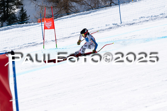 IDM Abfahrt, NC + NJC, Damen und NC + FIS Herren 03.04.2025