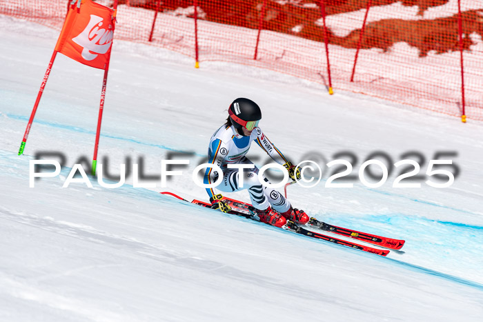 IDM Abfahrt, NC + NJC, Damen und NC + FIS Herren 03.04.2025