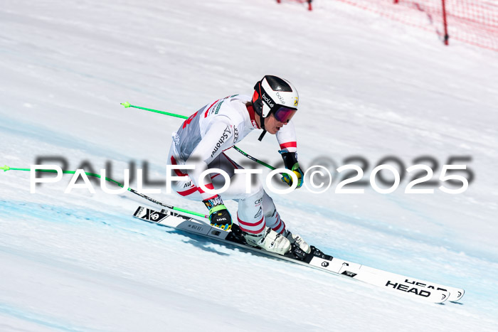 IDM Abfahrt, NC + NJC, Damen und NC + FIS Herren 03.04.2025