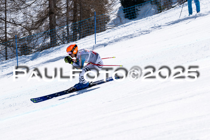 IDM Abfahrt, NC + NJC, Damen und NC + FIS Herren 03.04.2025