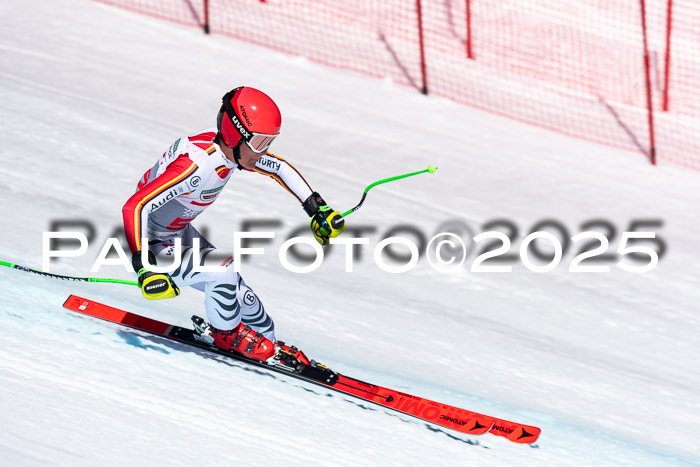 IDM Abfahrt, NC + NJC, Damen und NC + FIS Herren 03.04.2025