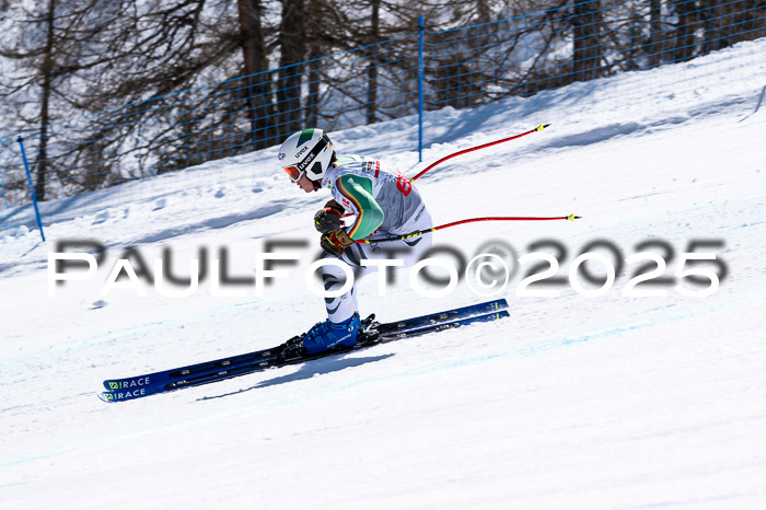 IDM Abfahrt, NC + NJC, Damen und NC + FIS Herren 03.04.2025