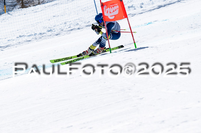 IDM Abfahrt, NC + NJC, Damen und NC + FIS Herren 03.04.2025