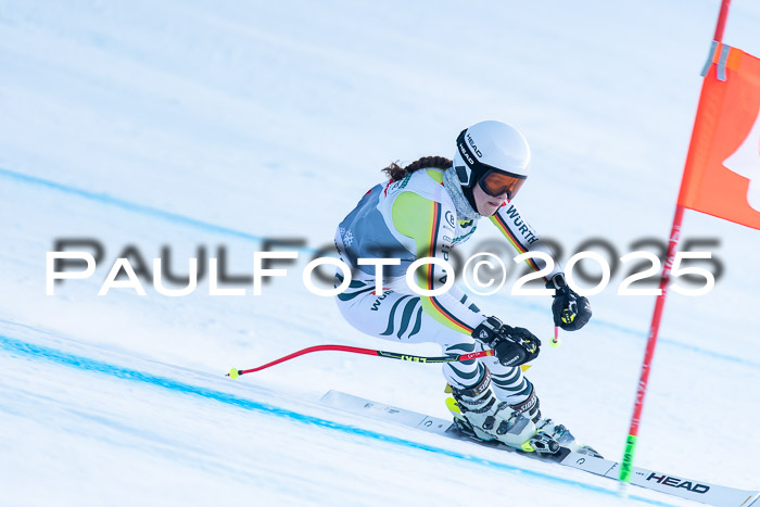 IDM ASuper-G, NC  Damen + Herren 04.04.2025