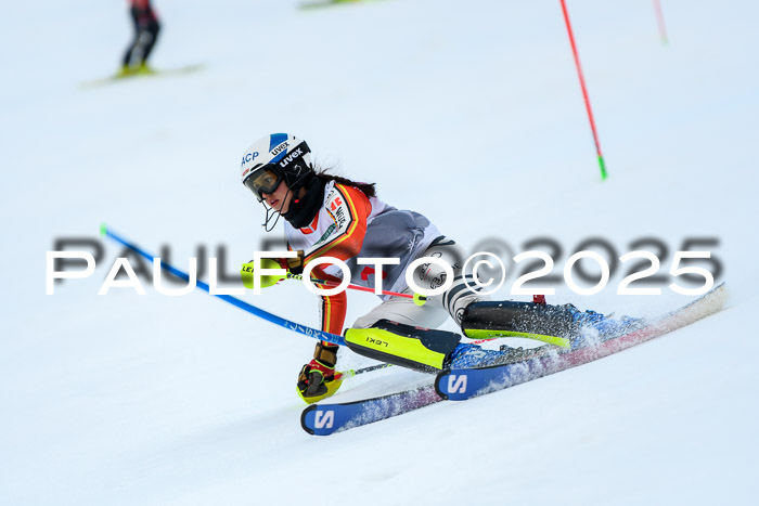 NC SL, Damen + Herren 06.04.2025
