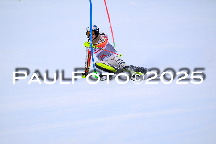 NC SL, Damen + Herren 06.04.2025