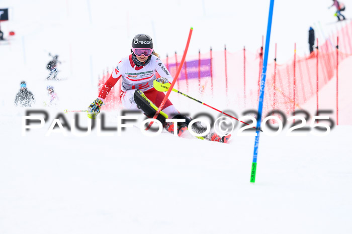 NC SL, Damen + Herren 06.04.2025