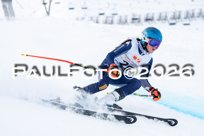 München MINI Cup 1. Willi Wein Gedächtnisrennen RS 03.01.2026