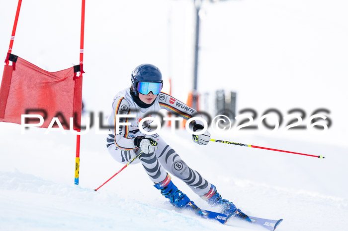 München MINI Cup 1. Willi Wein Gedächtnisrennen RS 03.01.2026