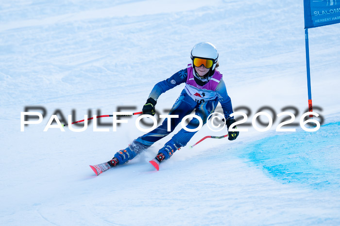 München MINI Cup 1. Willi Wein Gedächtnisrennen RS 03.01.2026