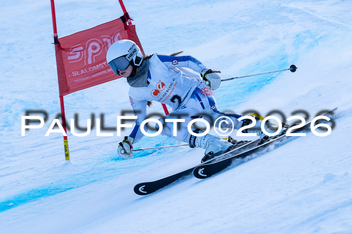 München MINI Cup 1. Willi Wein Gedächtnisrennen RS 03.01.2026