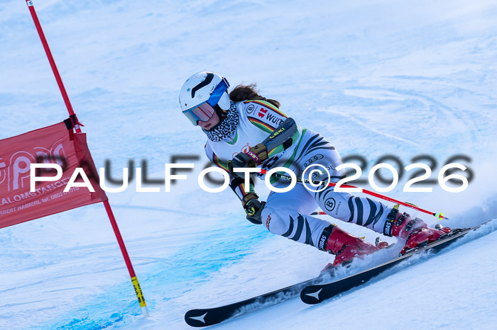 München MINI Cup 1. Willi Wein Gedächtnisrennen RS 03.01.2026