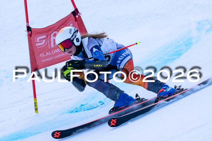 München MINI Cup 1. Willi Wein Gedächtnisrennen RS 03.01.2026