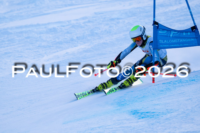 München MINI Cup 1. Willi Wein Gedächtnisrennen RS 03.01.2026