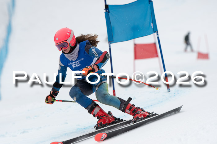 BSV Skiliga Bayern Schüler RS 2026