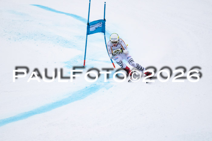 FIS NC Super-G, GER + BRA, Herren  12.01.2026