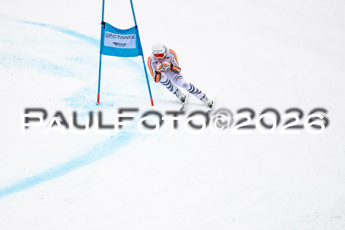 FIS NC Super-G, GER + BRA, Herren  12.01.2026
