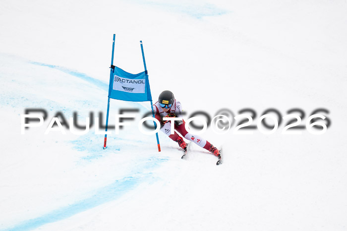 FIS NC Super-G, GER + BRA, Herren  12.01.2026