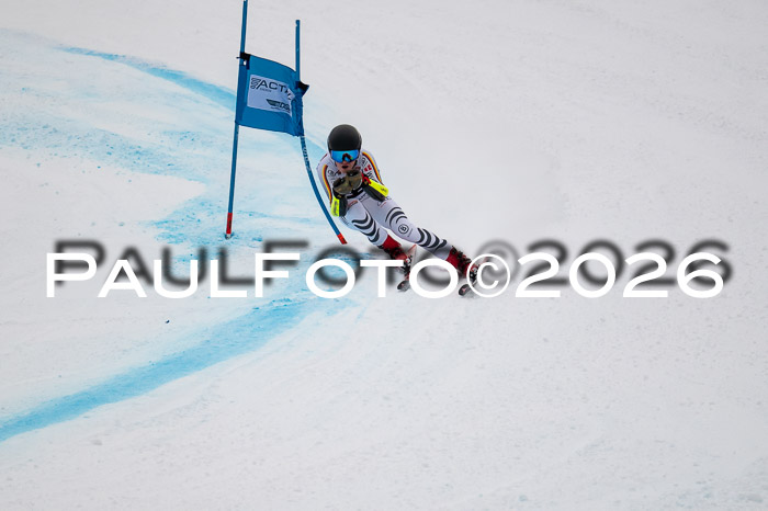 FIS NC Super-G, GER + BRA, Herren  12.01.2026