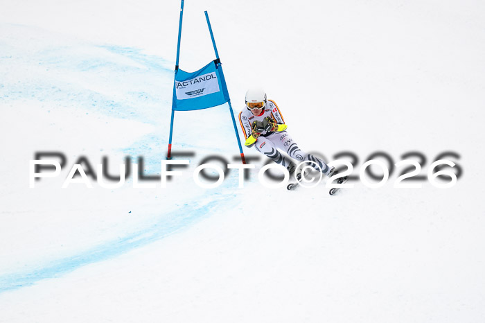 FIS NC Super-G, GER + BRA, Herren  12.01.2026