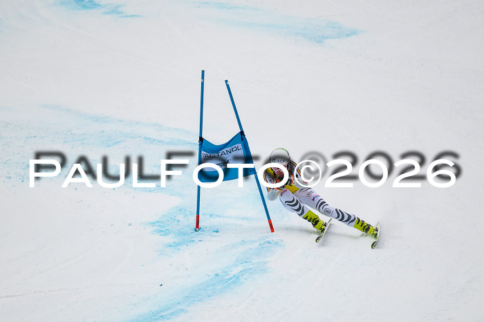 FIS NC Super-G, GER + BRA, Herren  12.01.2026