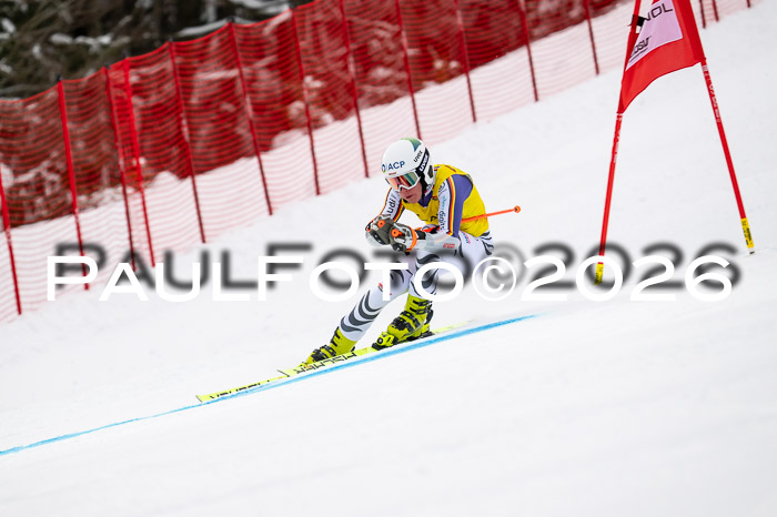 FIS NC Super-G, GER + BRA, Herren  12.01.2026