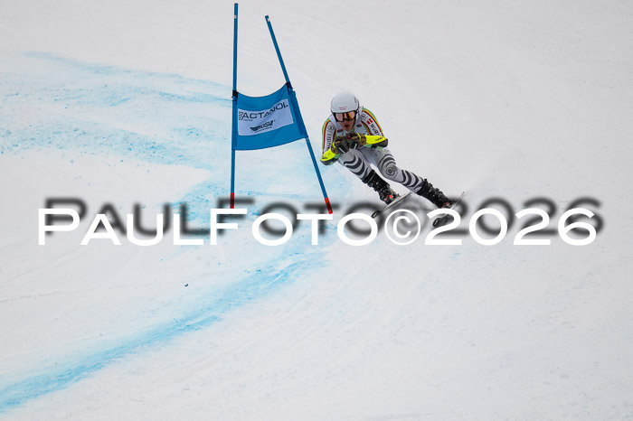 FIS NC Super-G, GER + BRA, Herren  12.01.2026