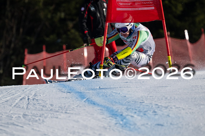 FIS Herren, RS Maria Alm 14.01.2026