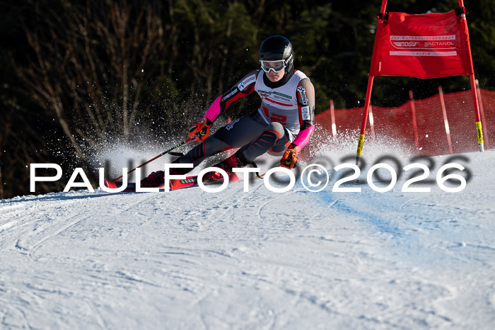 FIS Herren, RS Maria Alm 14.01.2026