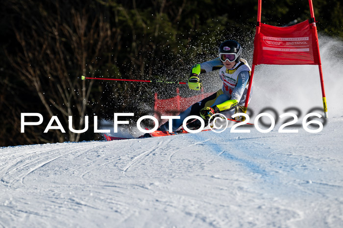 FIS Herren, RS Maria Alm 14.01.2026