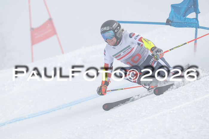 FIS Herren, RS Maria Alm 14.01.2026
