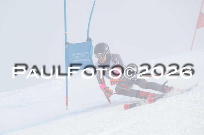 FIS Herren, RS Maria Alm 14.01.2026