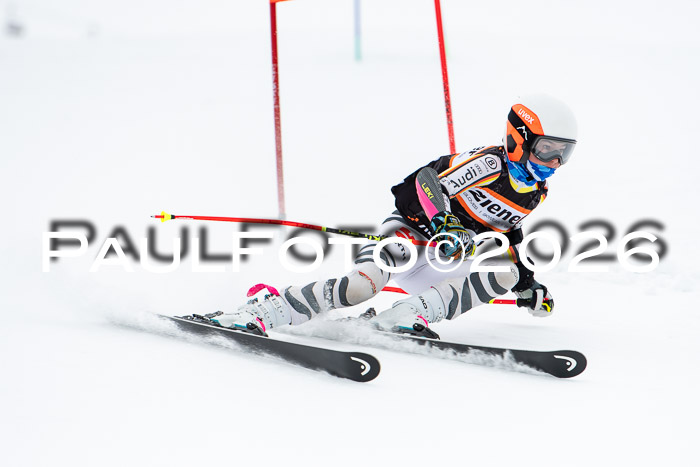 U12 Ziener Kids Cross RSX Reg 3, 24.01.2026