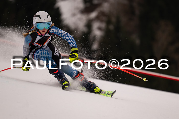 Ziener Kids-Cross Reg 4, M/OL U12 Race Cross 2026