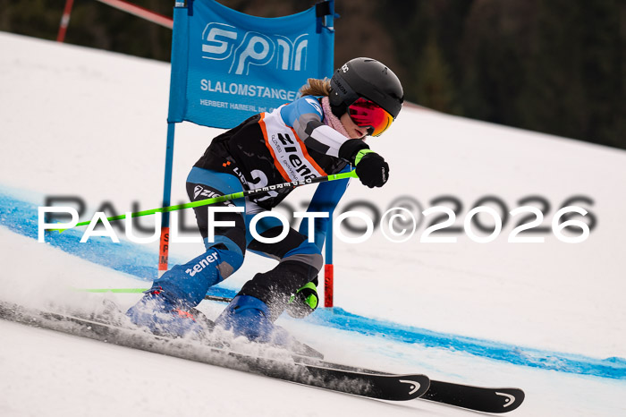 Ziener Kids-Cross Reg 4, M/OL U12 Race Cross 2026