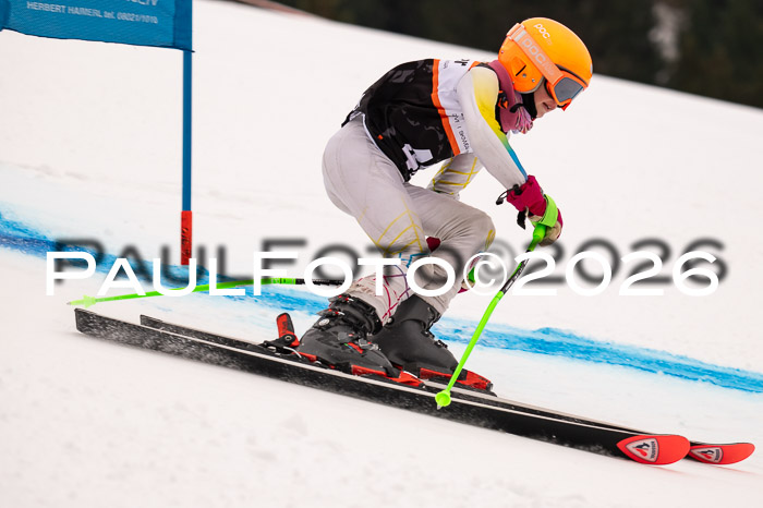 Ziener Kids-Cross Reg 4, M/OL U12 Race Cross 2026