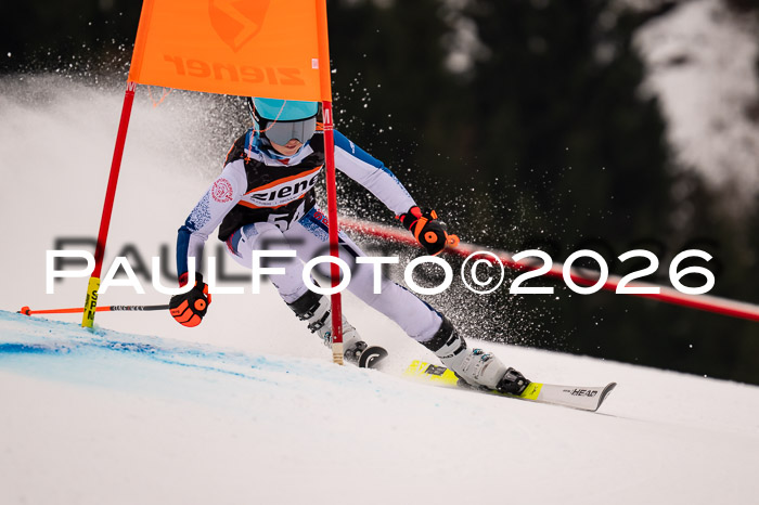 Ziener Kids-Cross Reg 4, M/OL U12 Race Cross 2026