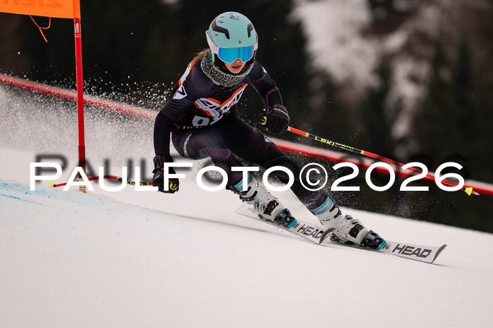 Ziener Kids-Cross Reg 4, M/OL U12 Race Cross 2026