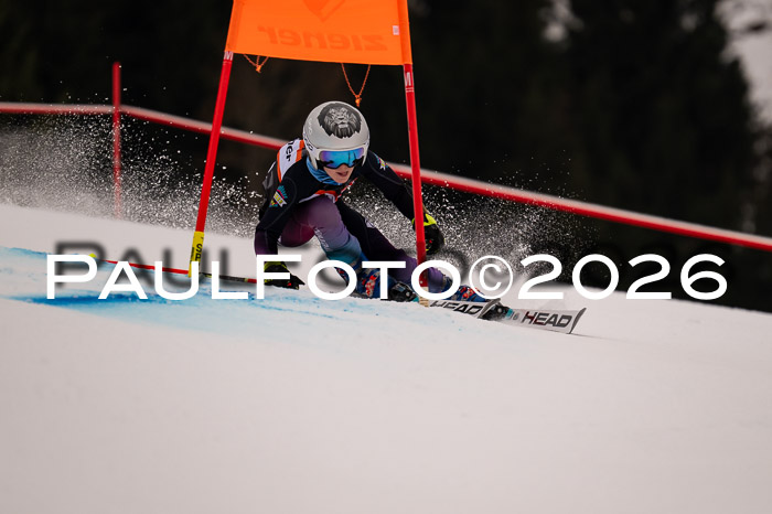 Ziener Kids-Cross Reg 4, M/OL U12 Race Cross 2026