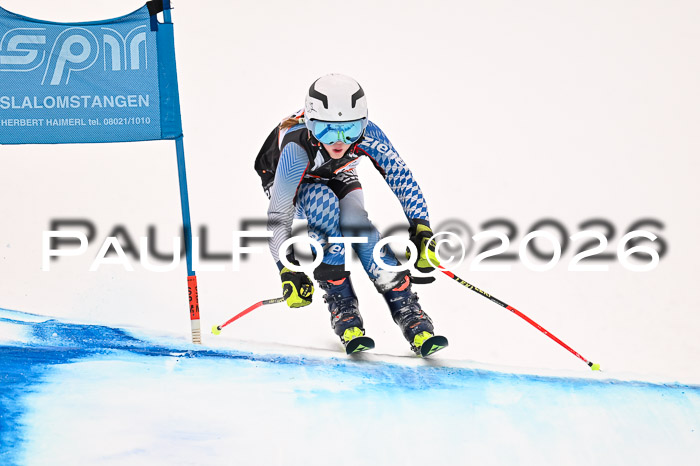 Ziener Kids-Cross Reg 4, M/OL U12 Race Cross 2026